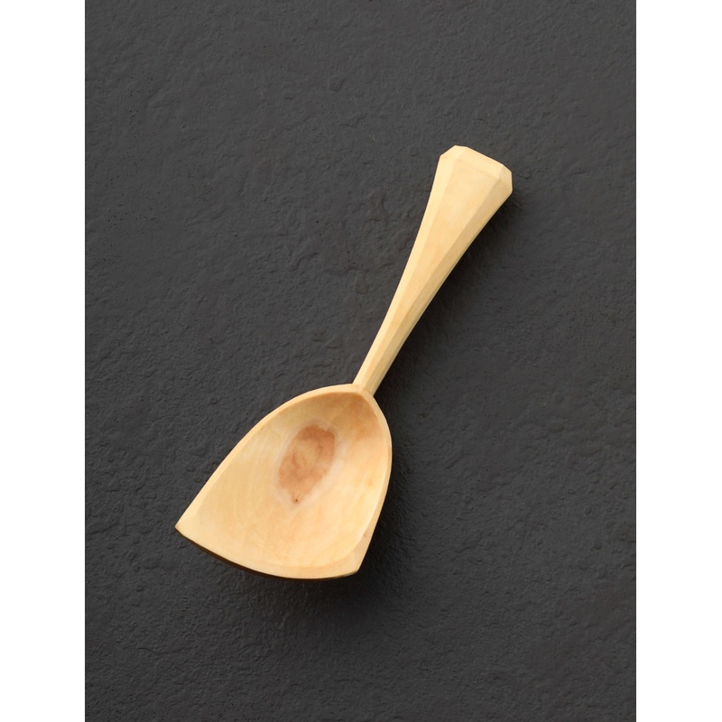 Apple Scoopster