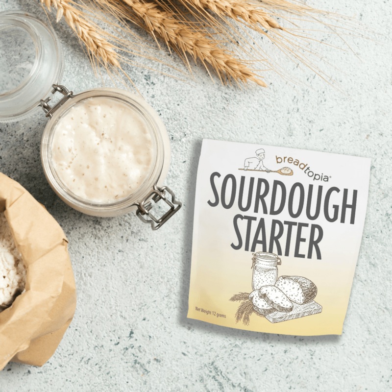 Sourdough Starter by Breadtopia