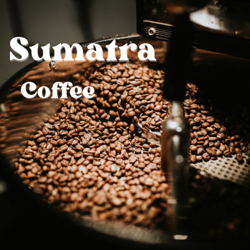 Sumatra Coffee Blend – 1 Pound Whole Bean, Ground, or DECAF Ground