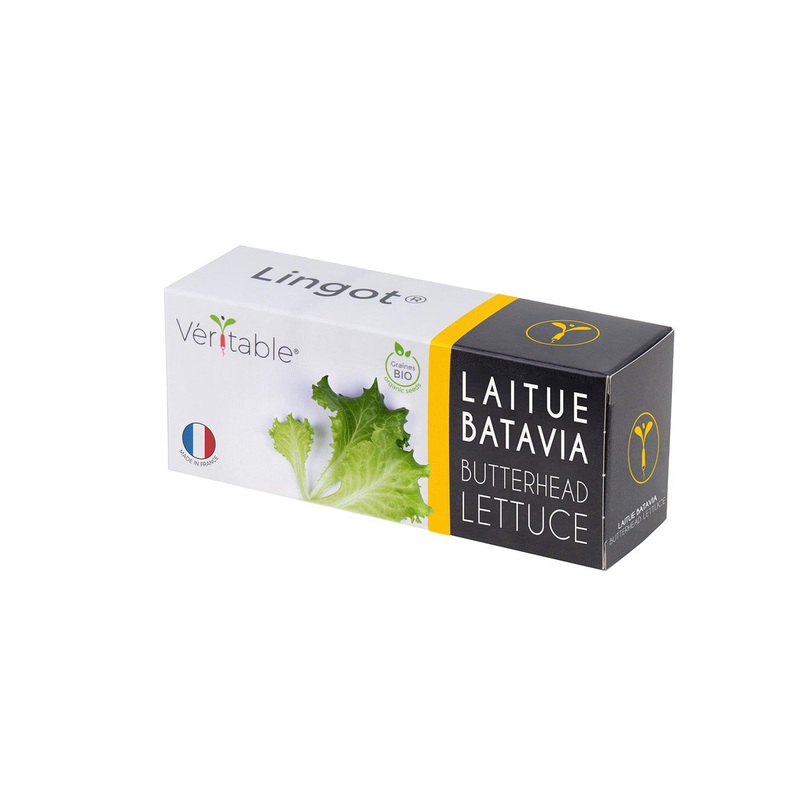 Veritable Lingot Butterhead Lettuce Organic