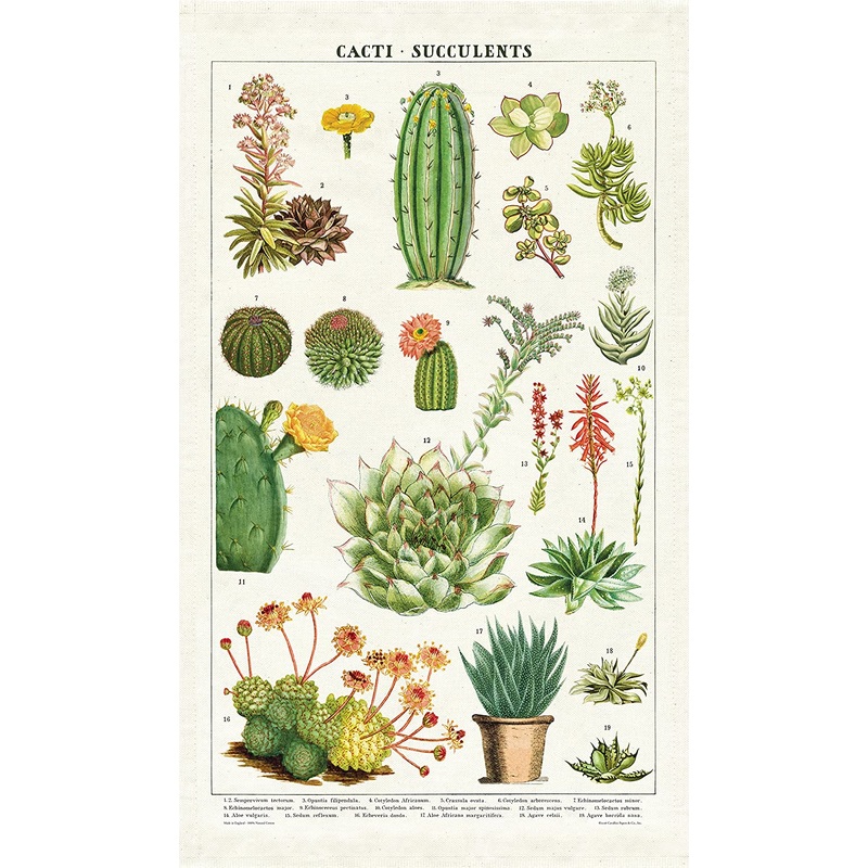 Cavallini & Co. Tea Towel – Succulents