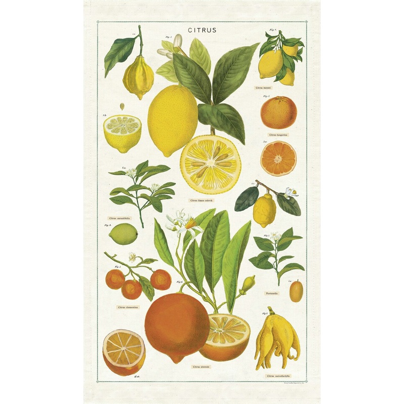 Cavallini & Co. Tea Towel – Citrus