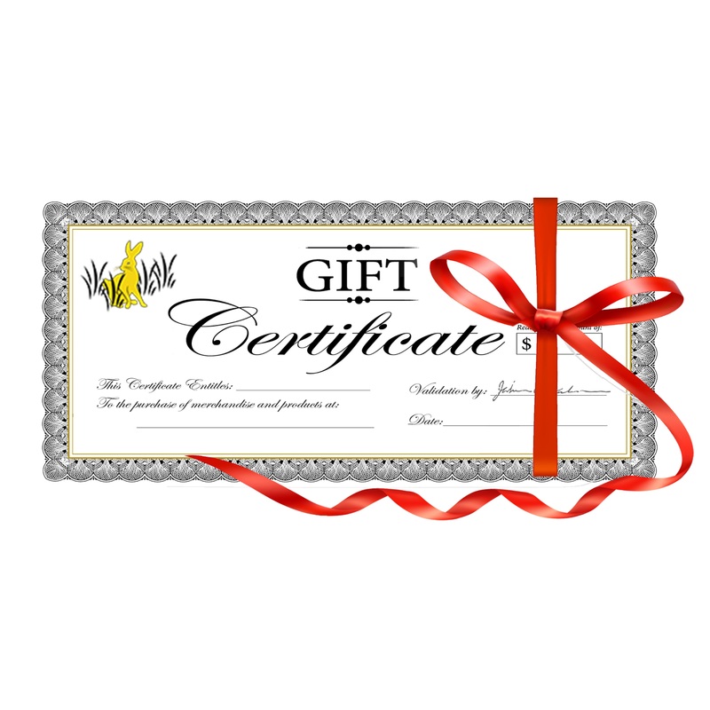 $100 Gift Certificate
