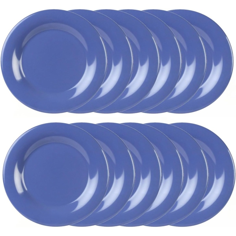 Round Dinner Plates Wide Rim Melamine Set of 12- Dishwasher Safe Reusable Plates Kitchen Plates Dinnerware Appetizer Plates Serving Plate Home Kitchen Restaurants