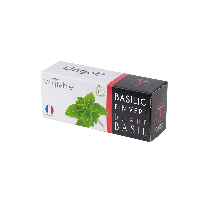 Veritable Lingot Dwarf Basil Organic