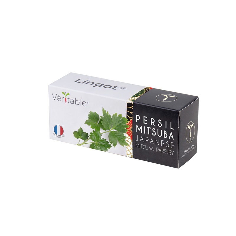 Veritable Lingot Japanese Parsley Mitsuba