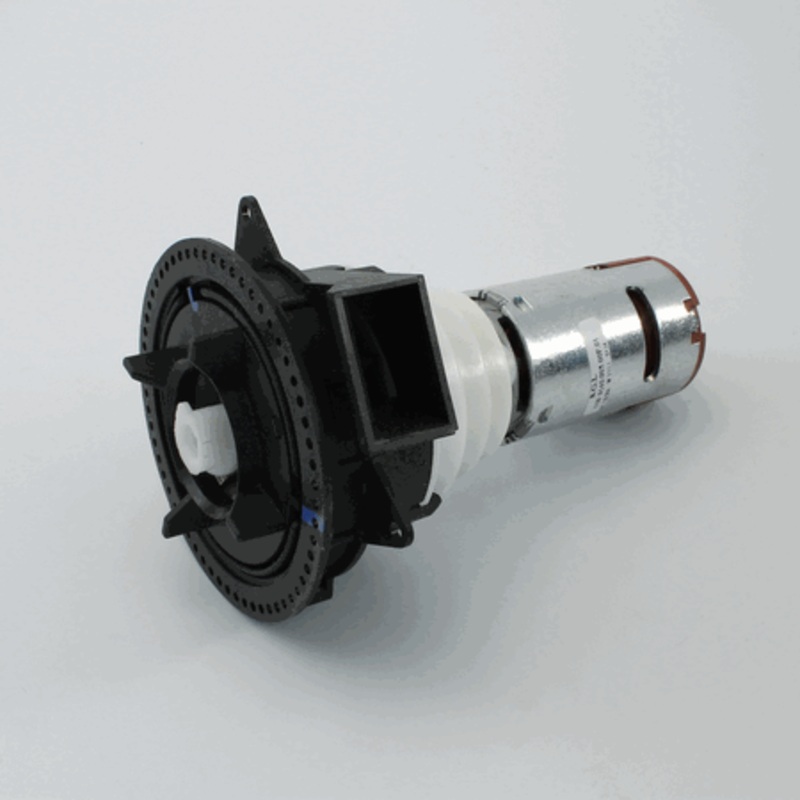 Coffee Grinder 120V