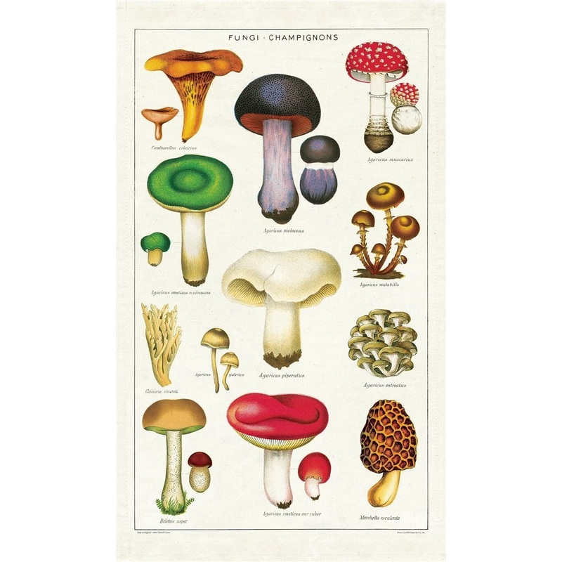 Cavallini & Co. Tea Towel – Mushrooms