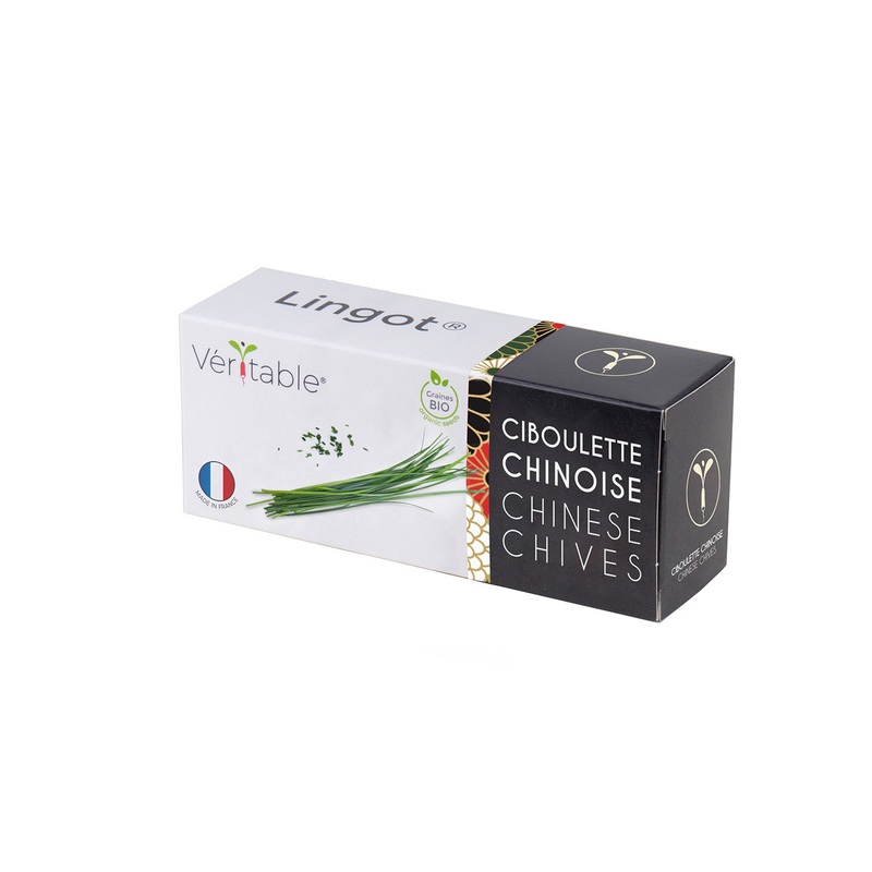 Veritable Lingot Chinese Chives Organic