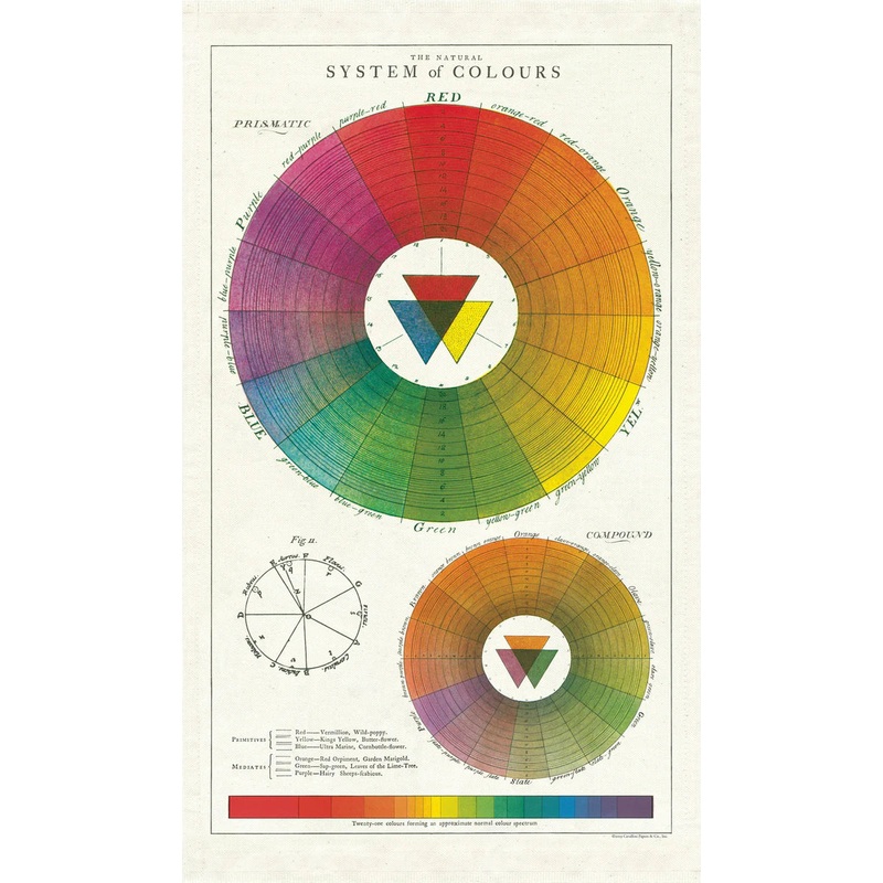 Cavallini & Co. Tea Towel – Color Wheel