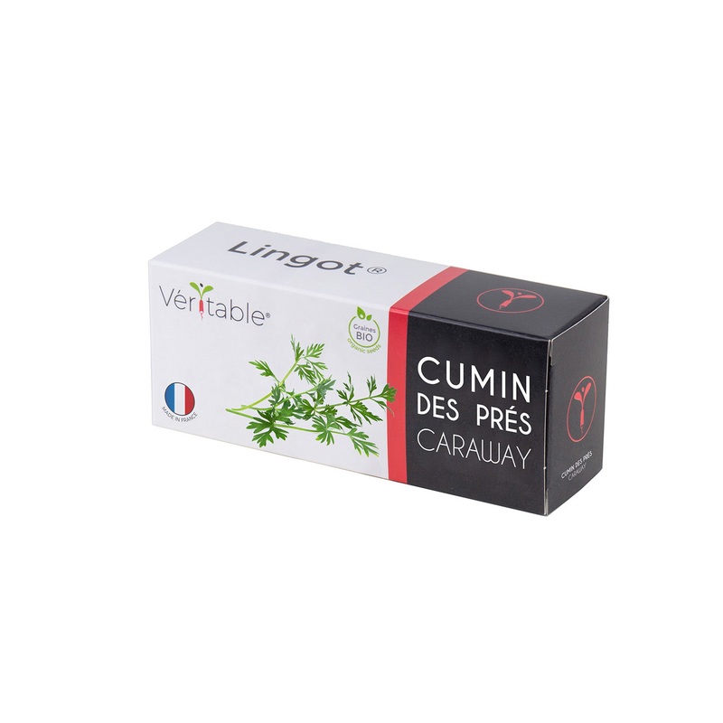 Veritable Lingot Cumin