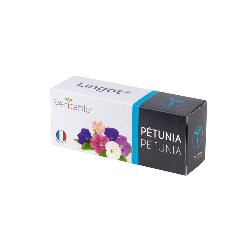 Veritable Lingot Petunia