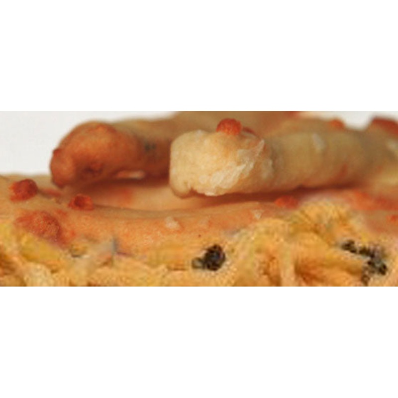 Coleen’s Colby Cracked Pepper Breadsticks