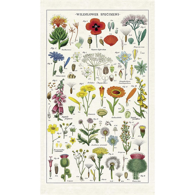 Cavallini & Co. Tea Towel – Wildflowers