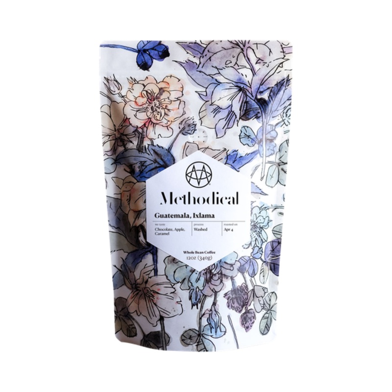 Methodical Coffee – Guatemala Ixlama