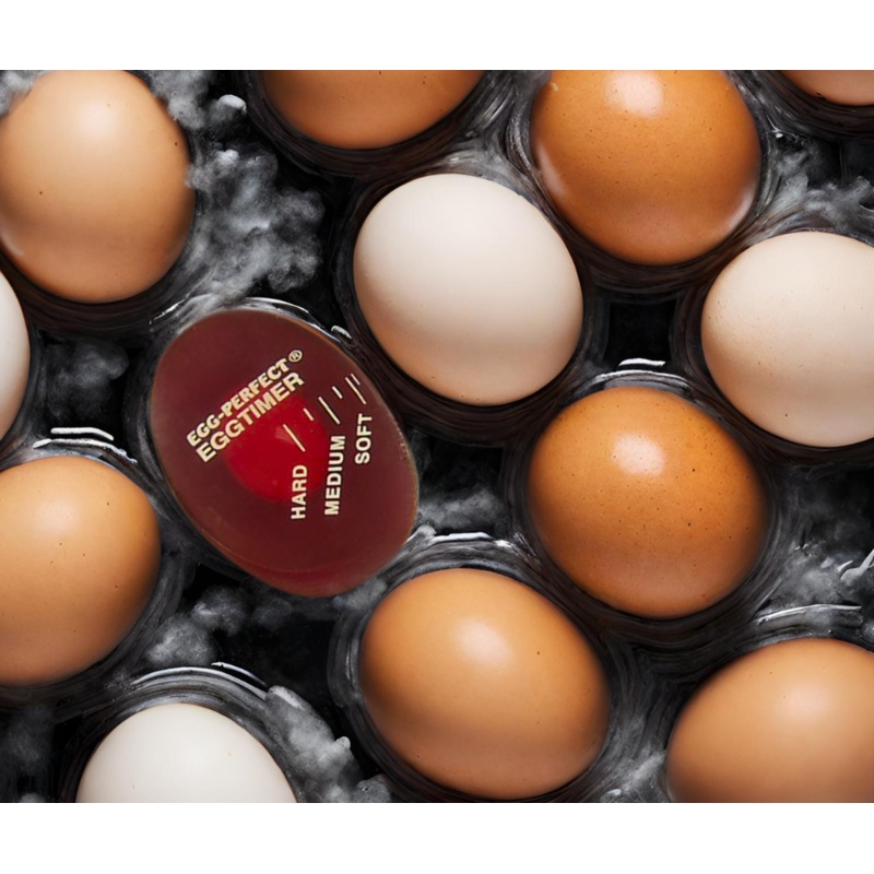 Egg Perfect Egg Timer by Norpro