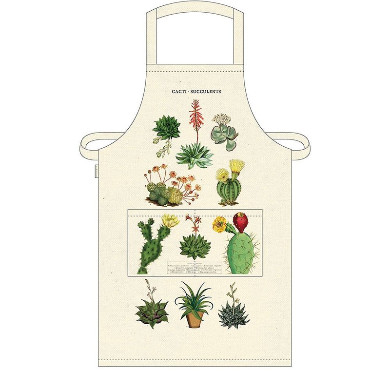 Cavallini & Co. Apron – Succulents