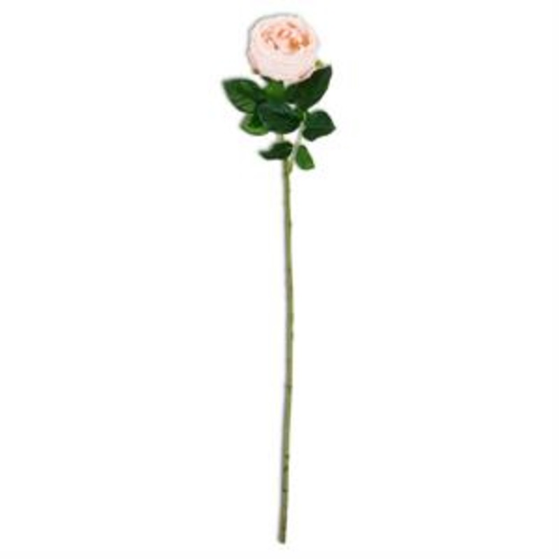 Peach Real Touch Austin Rose Stem 24″