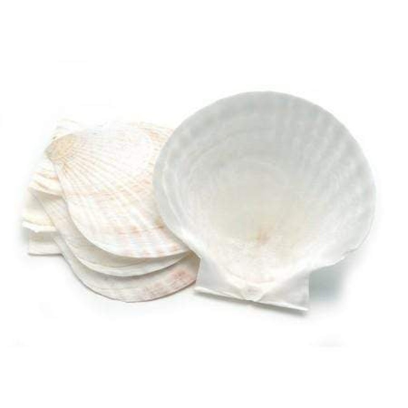 Fox Run Nantucket Seafood Large Canape Shells (Set of 4)
