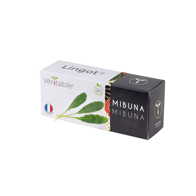 Veritable Lingot Mibuna Organic