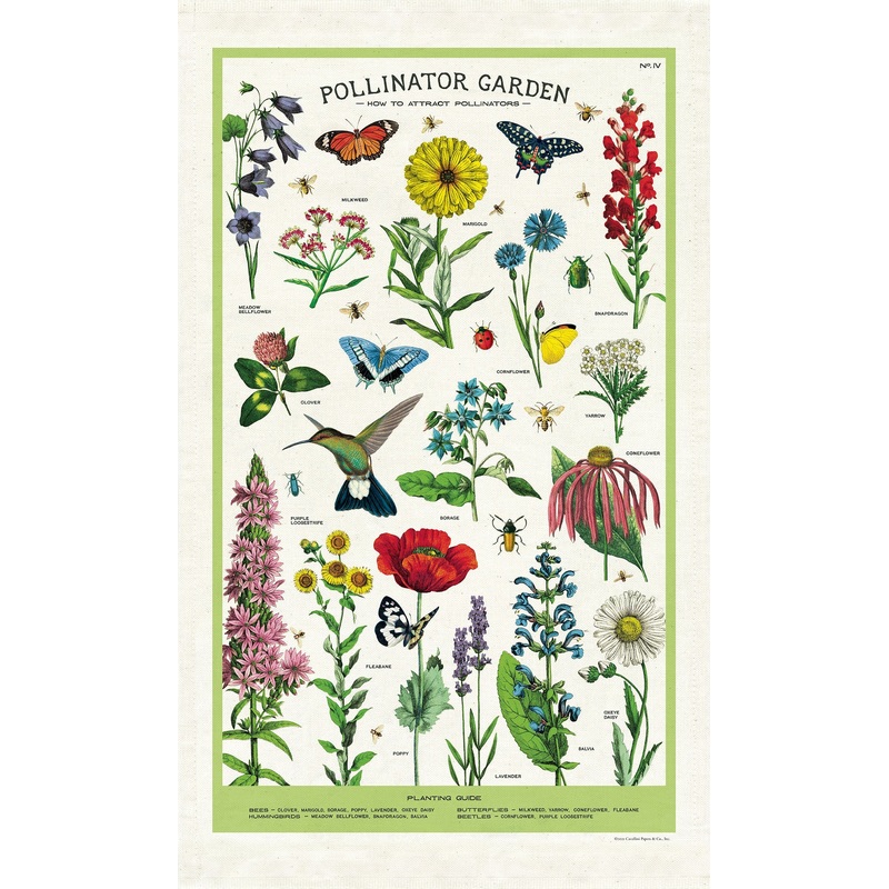 Cavallini & Co. Tea Towel – Pollinator