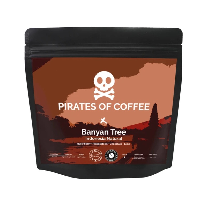 Pirates of Coffee Banyan Tree: Indonesia West Java Natural Filter Coffee